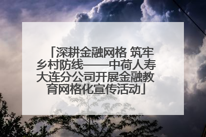 深耕金融网格 筑牢乡村防线——中荷人寿大连分公司开展金融教育网格化宣传活动